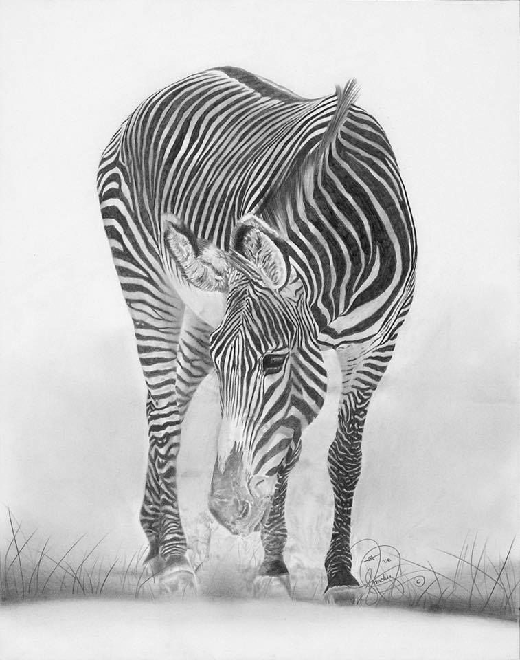 african wildlife3.jpg